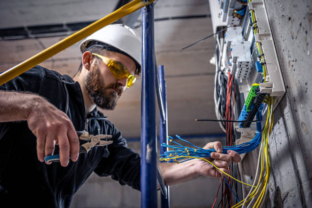 Best Electric Panel Repair  in Talty, TX